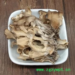 灰树花 贝叶多孔菌栗子蘑莲花菌叶状奇果菌图4