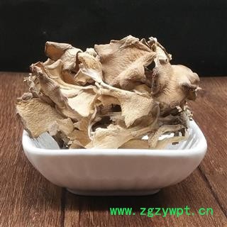 灰树花 贝叶多孔菌栗子蘑莲花菌叶状奇果菌图2