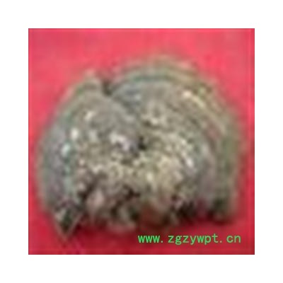 圣草康园中药材 供应松针层孔菌 长白山 松针层孔菌