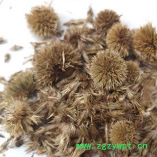 诺源药材行中药材漏芦 漏芦花图2