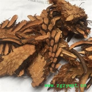 诺源药材行中药材贯众 绵马贯众  优质无硫图2