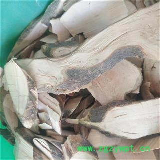 诺源药材行正品中药材毛冬青图3