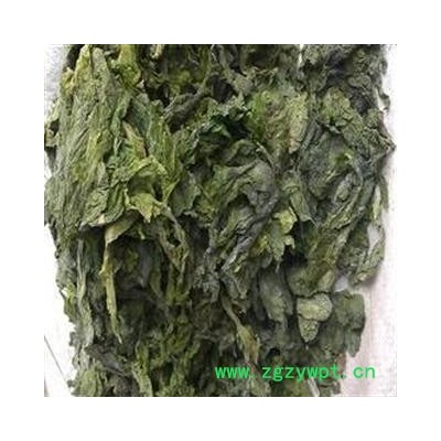 昆布 统货 净货无杂质 产地 山东省