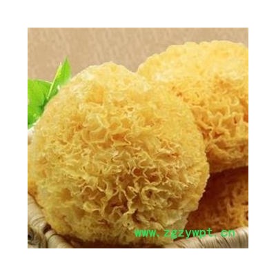圣草康园银耳 无硫 古田银耳 椴木银耳 白木耳