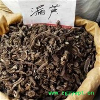 诺源药材行中药材漏芦 野兰 鬼油麻 狼头花图2