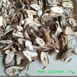 诺源药材行苍耳草根 虱麻头根 白花虱母头根 痴头婆纯头根图2