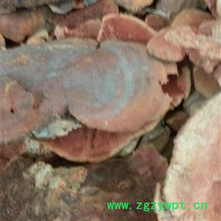 圣草康园中药材灵芝长白山红栓菌 血红栓菌 朱红栓菌图3