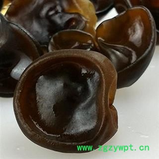 圣草康园黑木耳东北干货长白山黑木耳小碗耳木耳鼠耳秋木耳云耳图2