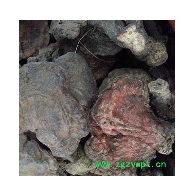 吉康药业灵芝红灵芝赤灵芝