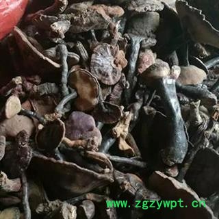 吉康药业灵芝红灵芝赤灵芝图3