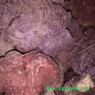 吉康药业灵芝红灵芝赤灵芝图2