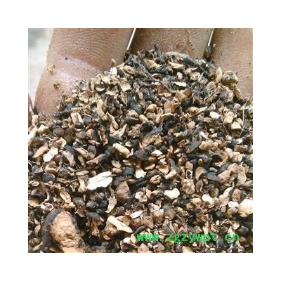 猪苓片1000克促销批发 正品猪苓碎粒，药厂投料 产地 吉林省