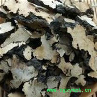 猪苓片1000克促销批发价 猪屎苓选片 产地 吉林省通化市 大货批发价图2