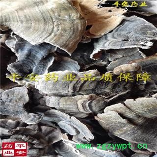 平安药业 云芝 正品 千层蘑 彩纹云芝 黄云芝 灰芝 瓦菌图4