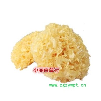 中药材 古田 食用 银耳 白木耳 雪耳 糯耳干货非丑耳