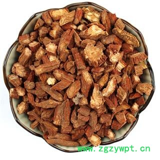 煜庭药业 红皮 丹参图3