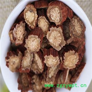 煜庭药业 红皮 丹参图2