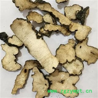 猪苓 鸡屎苓水洗统片 产地 吉林省长春市市辖区图2