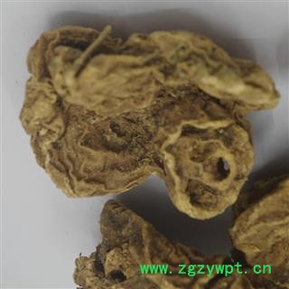 煜庭药业 罗锅底 雪胆 金龟莲 正品图4