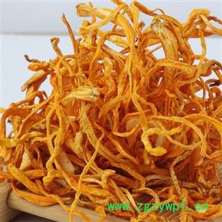 【金虫草选货】@【同欢药材】中药材批发供应  规格齐全 量大从优  产地 吉林省图2