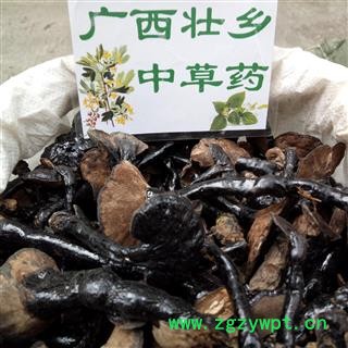 广西壮乡中草药 正宗 绝不掺假 野生灵芝 野生黑灵芝 产地 广西柳州市融水苗族自治县图2