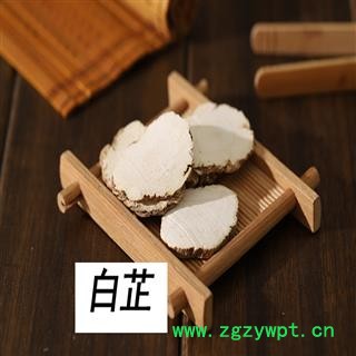 煜庭药业 白芷 家种图3