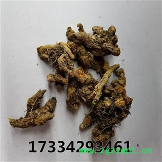 黄连 味连 川连 鸡爪连图3