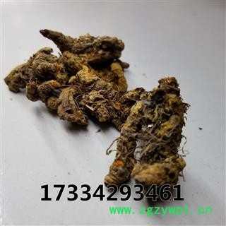 黄连 味连 川连 鸡爪连图2