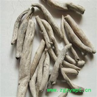 瑞森药材行入地老鼠 钻地老鼠 白古首花头紫茉莉根图3