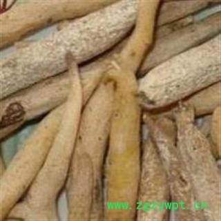 瑞森药材行入地老鼠 钻地老鼠 白古首花头紫茉莉根图2