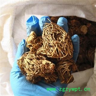 中药材 头顶一颗珠 延龄草 芋儿七 狮儿七图4