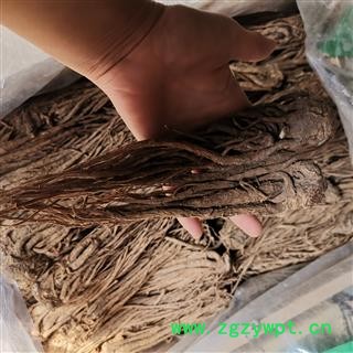瑞森药材行产地直销新货无硫当归全归个子干净大条，中条实物拍摄图2