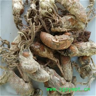 芝春堂 中药材 虫花 金蝉花 蝉菌 蝉蛹草 蝉花 优质新货 保证质量图2