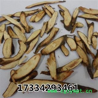 千斤拔 千斤拨 一头根 老鼠尾 钻地风 蔓性千斤拔 吊马墩 吊马桩 金牛尾 钉地根 土黄芩 钻地风 选货图2