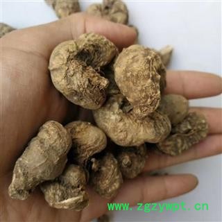 瑞森药材行 水田七 水三七 土三七 产地 广西柳州今年新货实物拍照图3