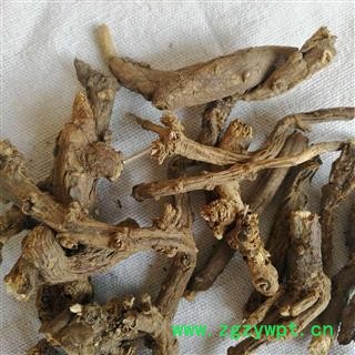 瑞森药材行墓回头 墓头回 脚汗划 箭头风 追风箭 脚汗草图2
