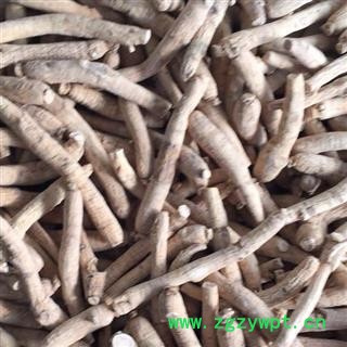 诺源药材行西洋参 长支5克图2