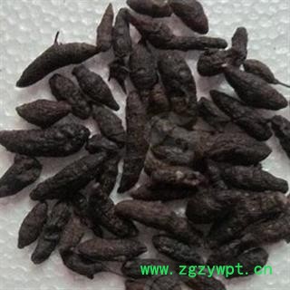 诺源药材行香附 莎草 大香附 土香图3