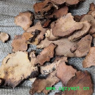 诺源药材行中药材土茯苓  茯苓 多种规格图3