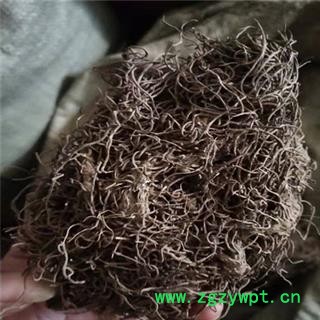 诺源药材行中药材优质冷背中药材红毛七 黑丝草 头发七图2
