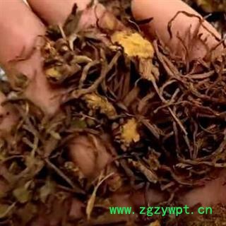 中药材紫苑紫菀小辫 水洗带芦头紫菀 水洗无芦头紫菀 紫苑紫菀 无硫新货无添加 地道药材 安国中药材批发零售大全图2