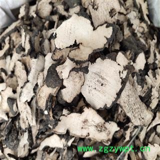 猪苓 竞选水洗片 颜色好 中片 产地直销 产地 山西省运城市图2