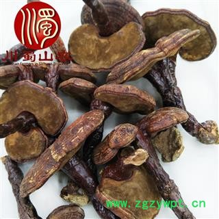 红灵芝小个统货散装1公斤起批产地直供赤灵芝川蜀山农中药材批发图3