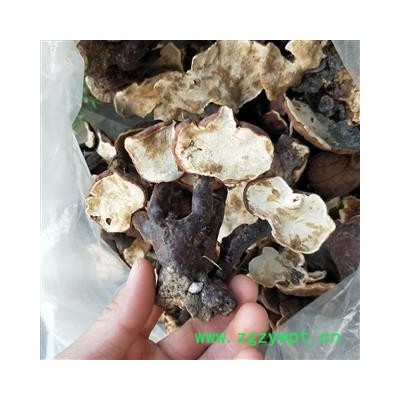 灵芝个 西藏高山野生灵芝小统个 产地 西藏自治区