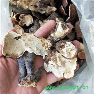 灵芝个 西藏高山野生灵芝小统个 产地 西藏自治区图3