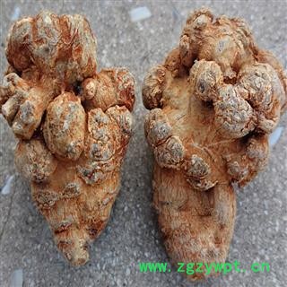 煜庭药业 三七 40头图2