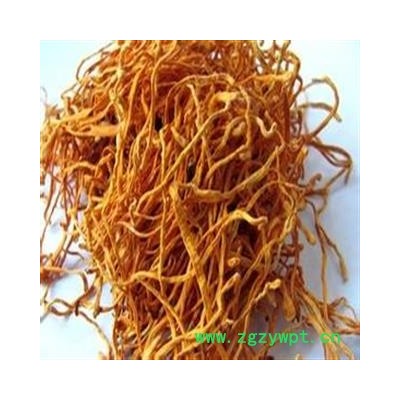 虫草花 统 产地 内蒙古自治区