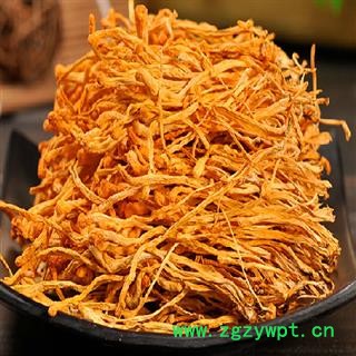 虫草花 统 产地 内蒙古自治区图2