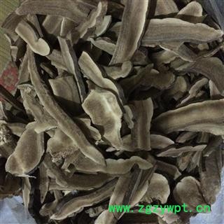 灵芝 有片子，个子 产地 山东省图2