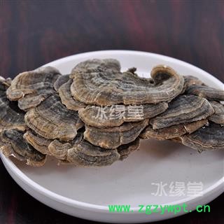 云芝 千层蘑 彩纹云芝 黄云芝 灰芝 瓦菌 统货 产地 黑龙江省货真价实 批发各种规格中药材 花茶 矿石冷背中药材图3